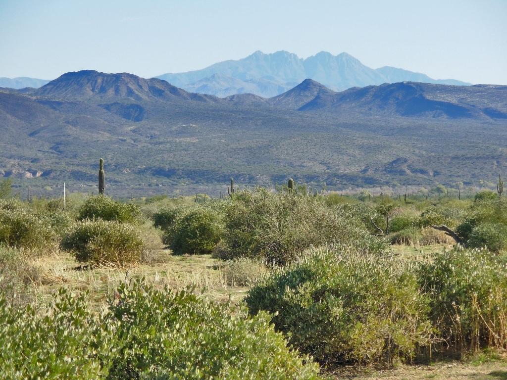 174xx N 174th St., Rio Verde, AZ 85263