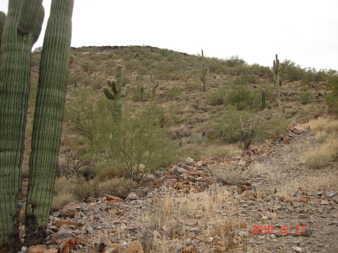 2940 W Carlise Rd. #E&F, Phoenix, AZ 85086