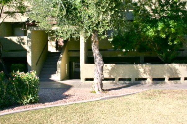 1331 W Baseline Rd. #135, Mesa, AZ 85202