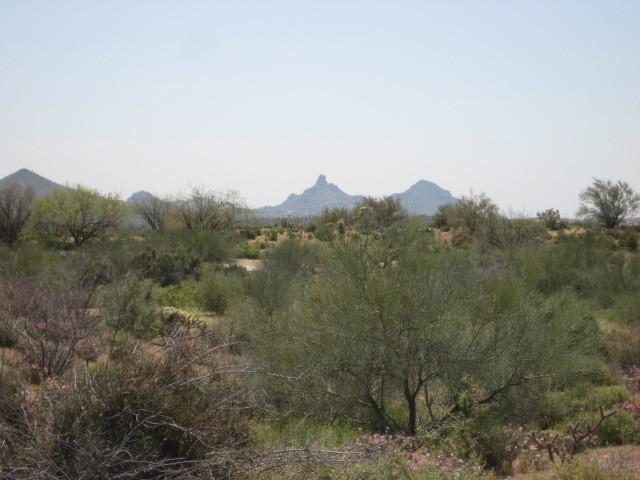 36483 N 101st Way #259, Scottsdale, AZ 85262