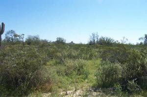 29000 N 153rd St. #1, Scottsdale, AZ 85262