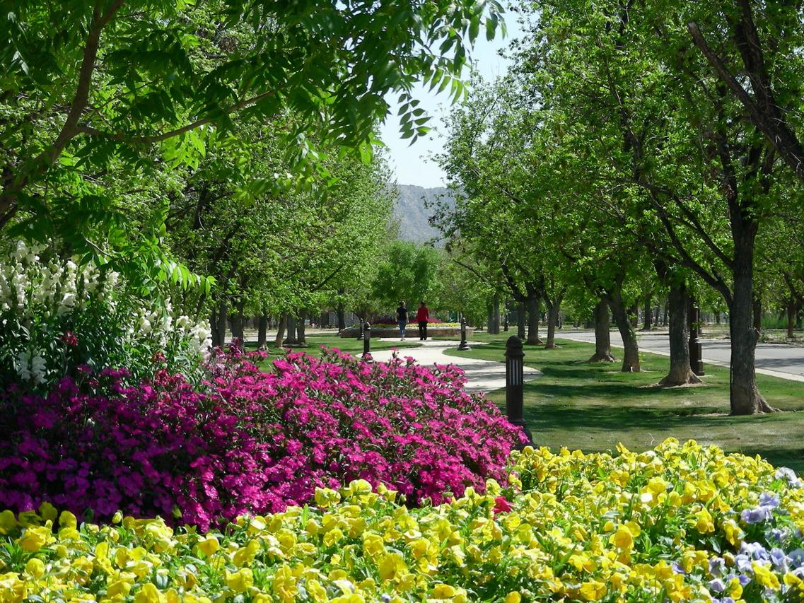 20575 E Sunset Dr. #78, Queen Creek, AZ 85142