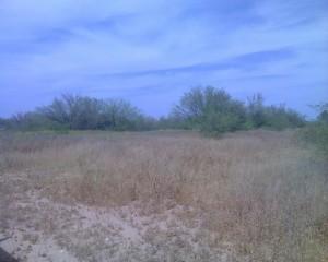 17400 W Patton Rd., Surprise, AZ 85387