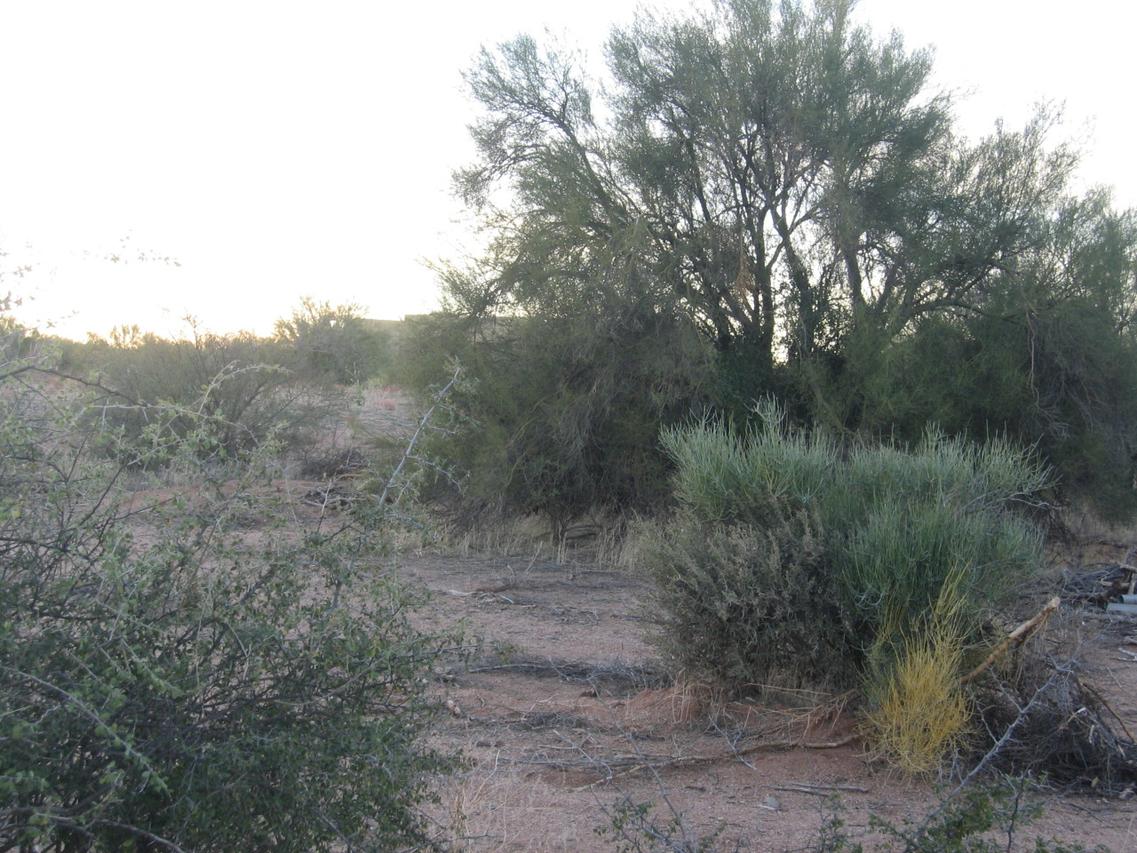 28XXX N 157 Th St. #2, Scottsdale, AZ 85262