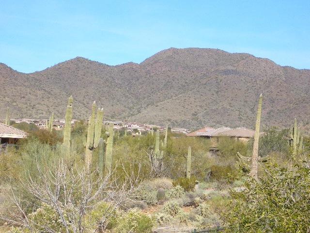 40966 N Wild West Tr., Anthem, AZ 85086