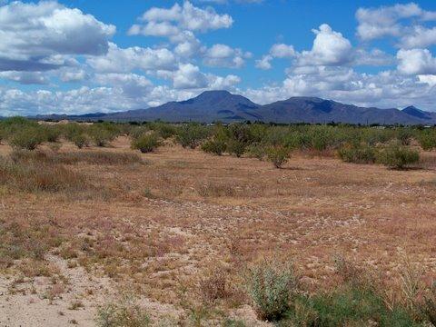 00 W Carefree Pl. #1 of 4, Maricopa, AZ 85239