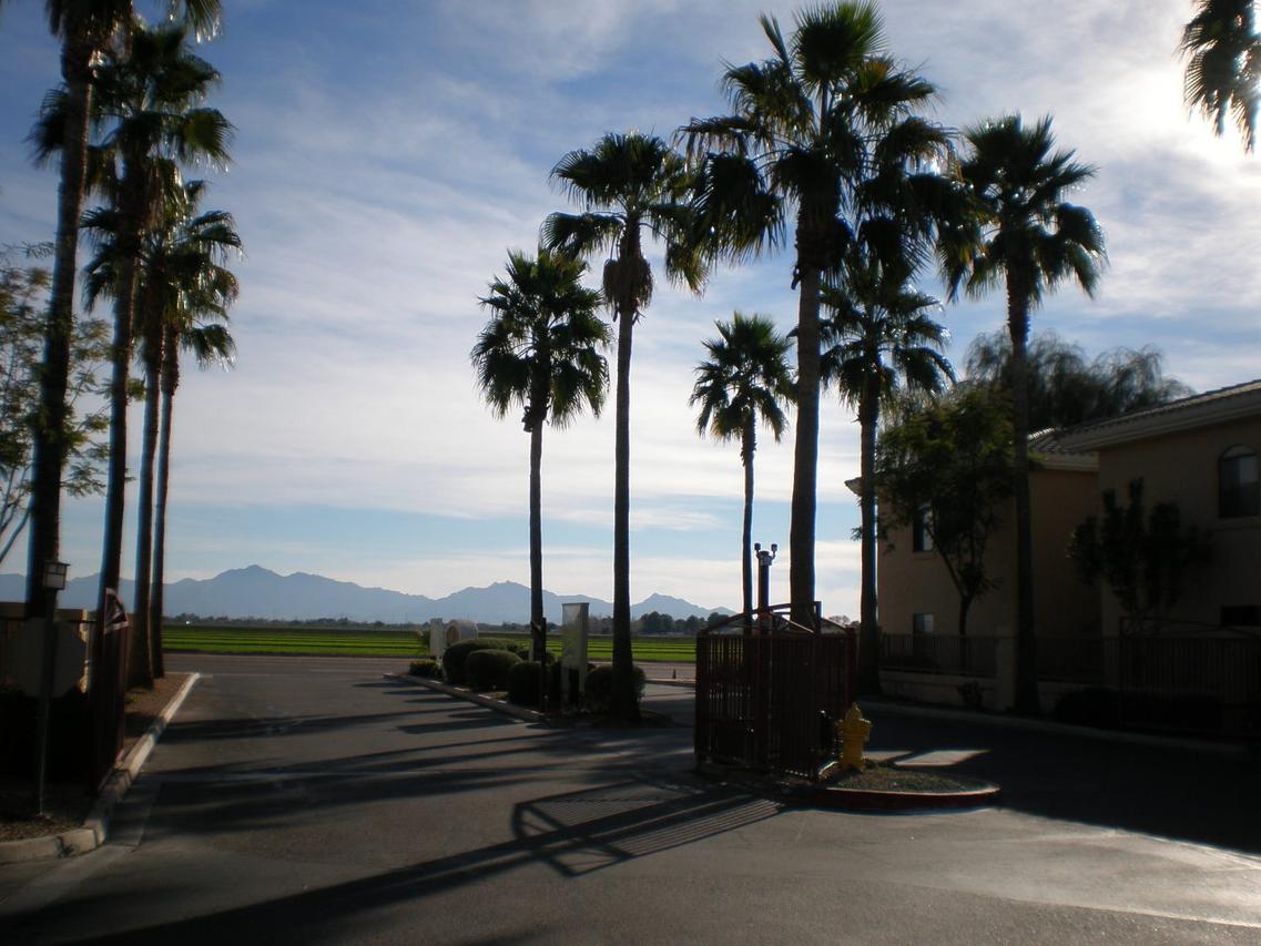 10030 W Indian School Rd. #105, Phoenix, AZ 85037