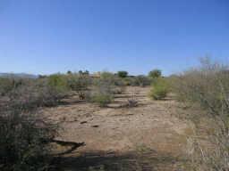 3111x N 155th St. #219-41-030C, Scottsdale, AZ 85262