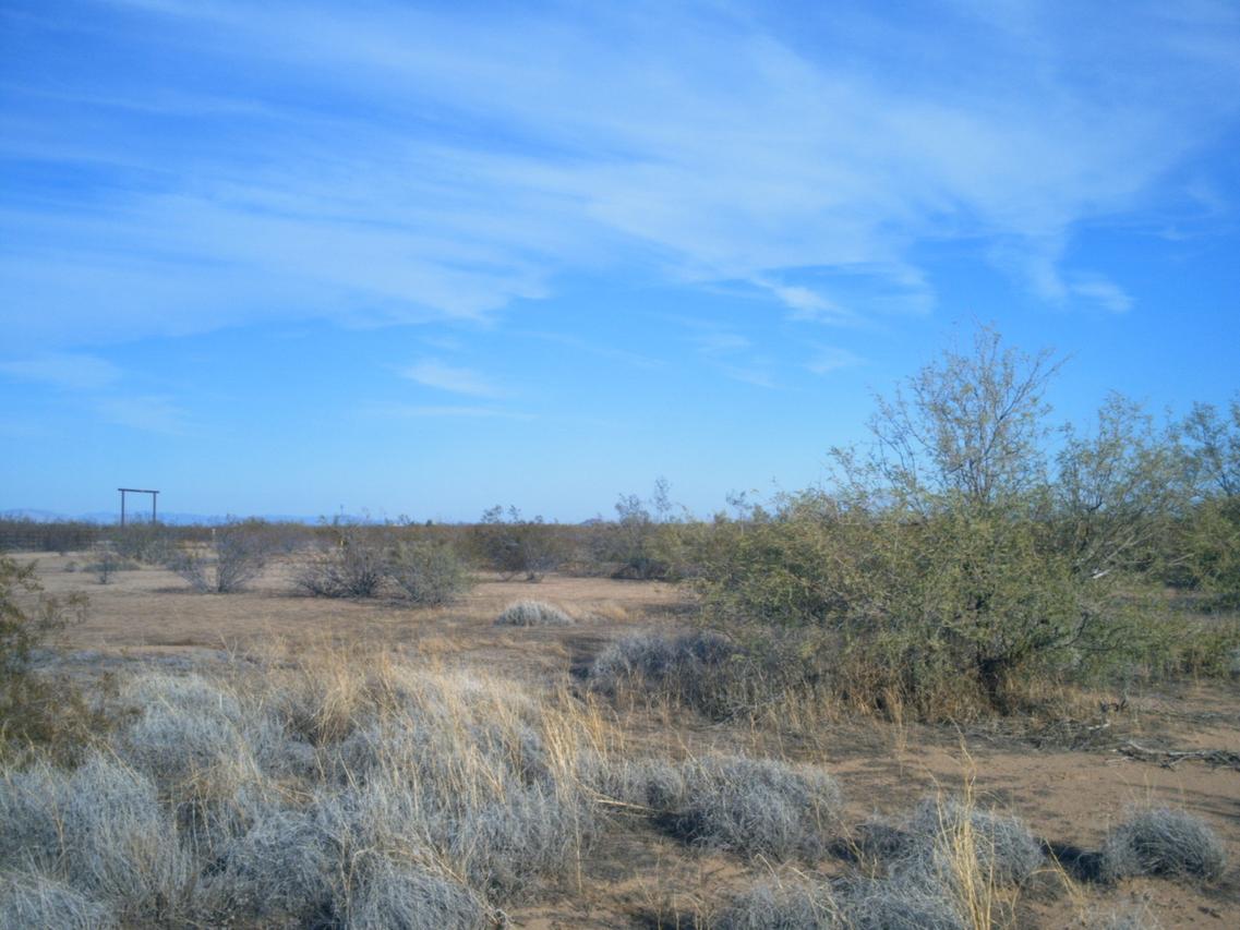 W Duff Rd. #32, Wickenburg, AZ 85390
