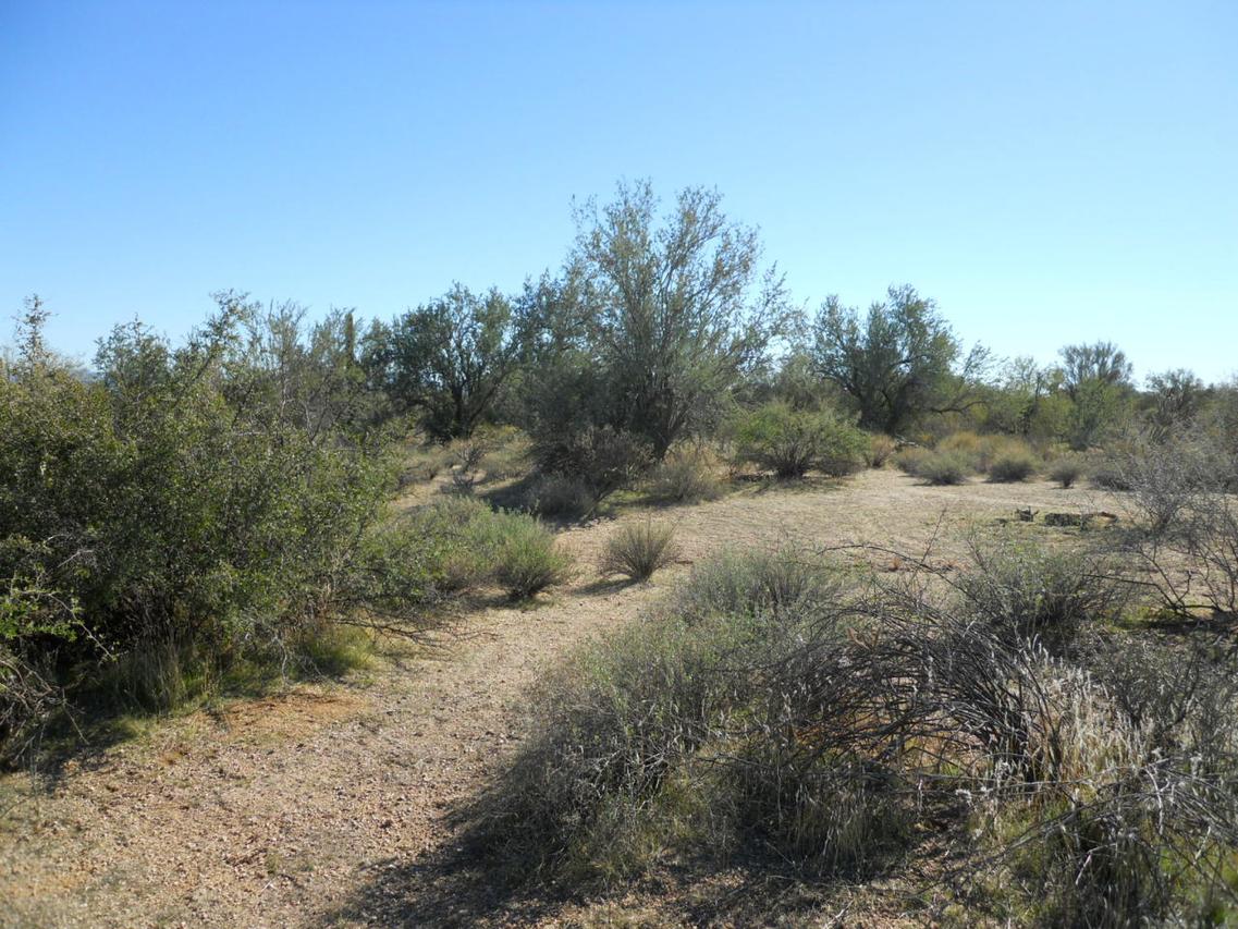 30xxx N 168 St. #na, Rio Verde, AZ 85263