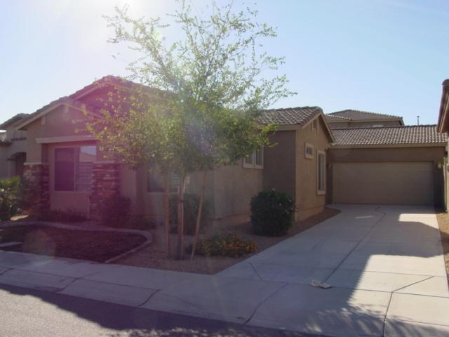 543 E Rainbow Dr., Chandler, AZ 85249