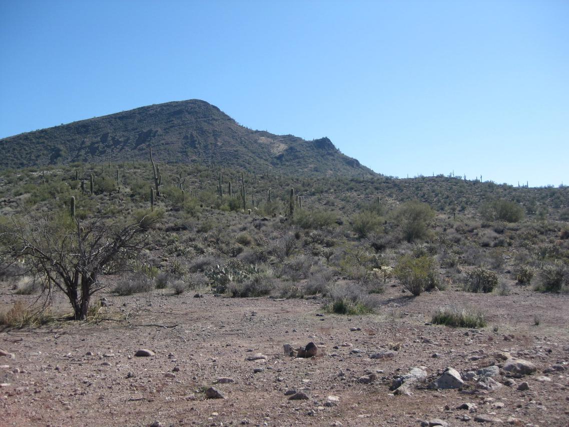 00000 N 18th St., Phoenix, AZ 85086