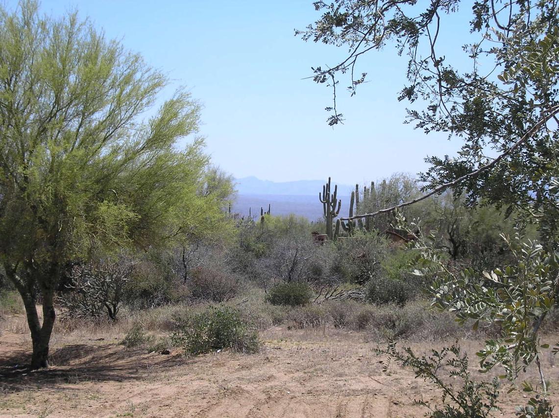 134TH S Of Quail Track Rd. #22, Scottsdale, AZ 85262