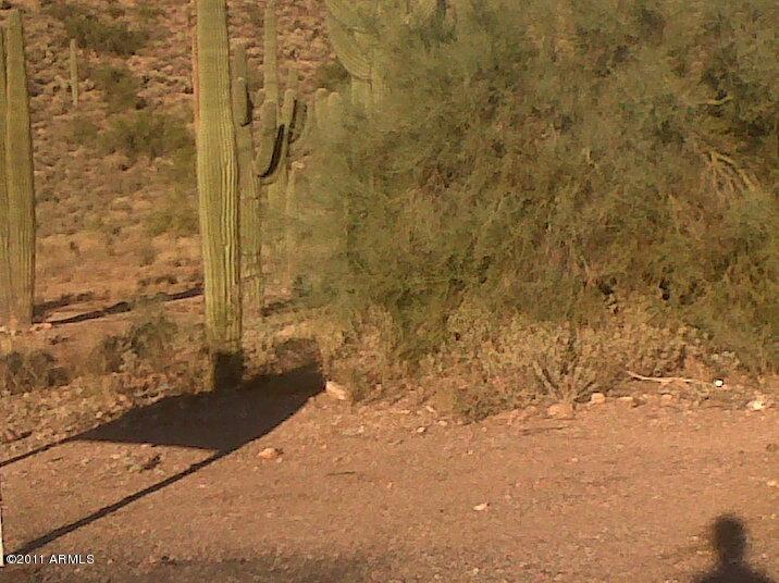 510 W Saddle Butte St. #20, Apache Junction, AZ 85120