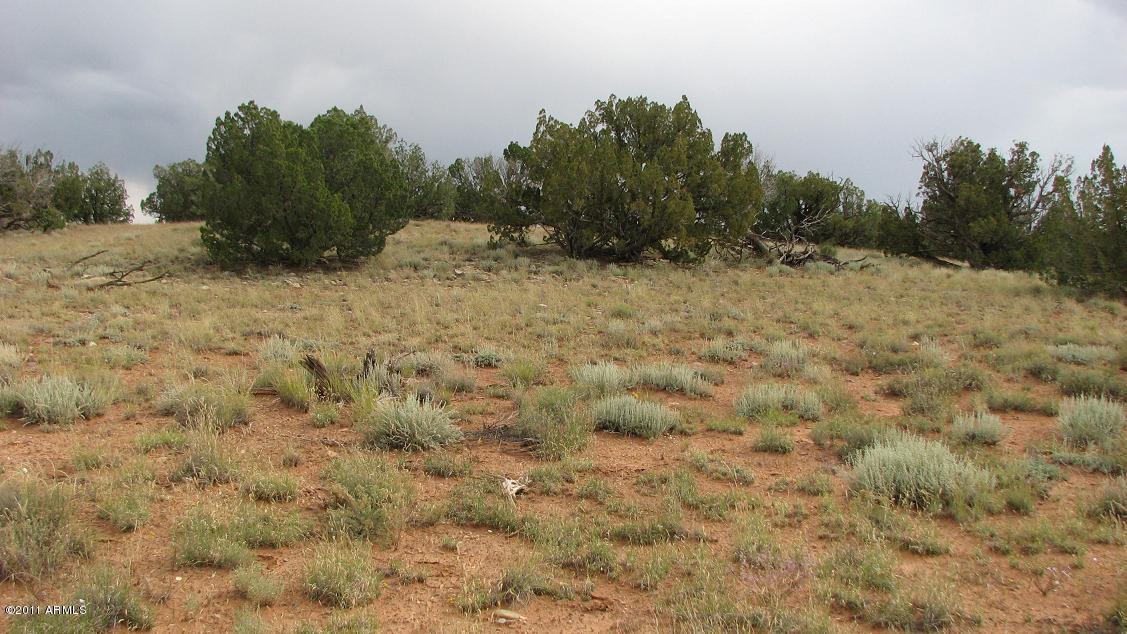 Sec 7 Chevelon Retreat-chevelon Acre #10, Heber, AZ 85928