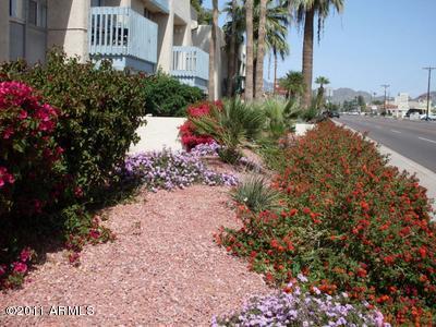 3828 N 32nd St. #218, Phoenix, AZ 85018