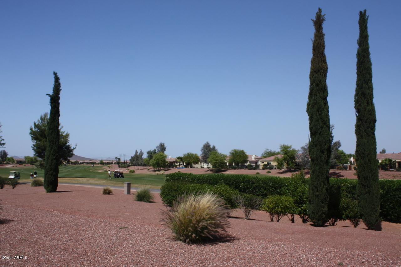 13432 W Micheltorena Dr., Sun City West, AZ 85375