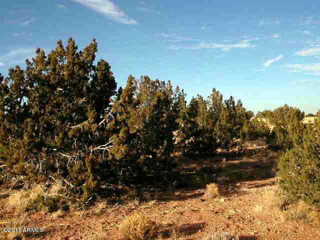 Sec.31 Chevelon Retreat-lot 17 #17, Heber, AZ 85928