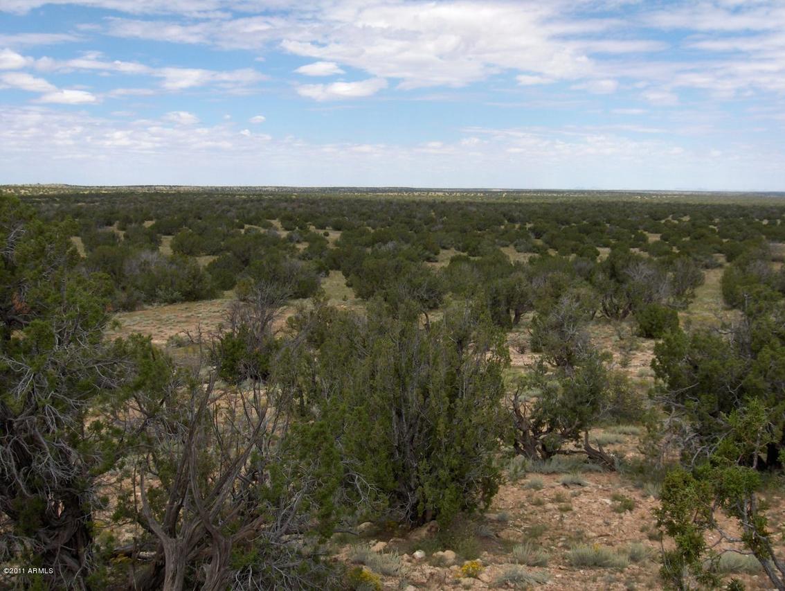 Sec.31 Chevelon Retreat-lot 18 #18, Heber, AZ 85928