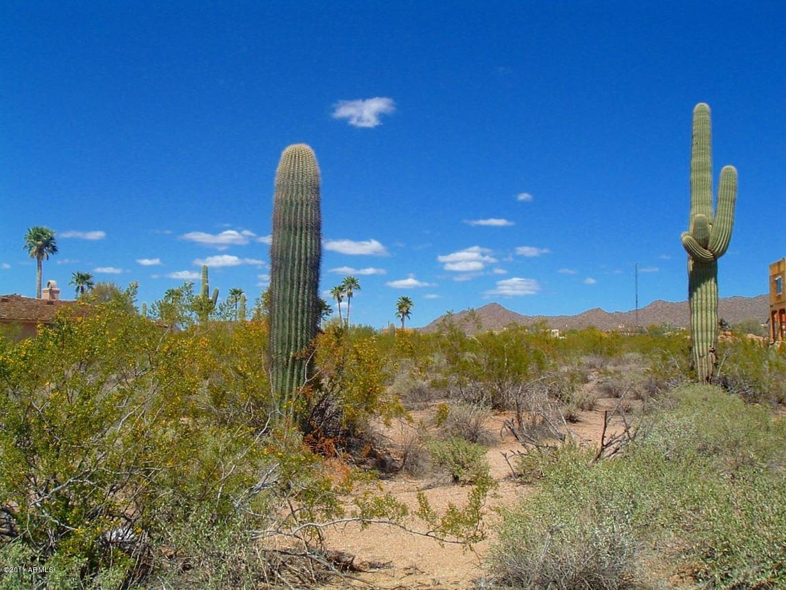 3113 E Plymouth St. #1, Mesa, AZ 85207