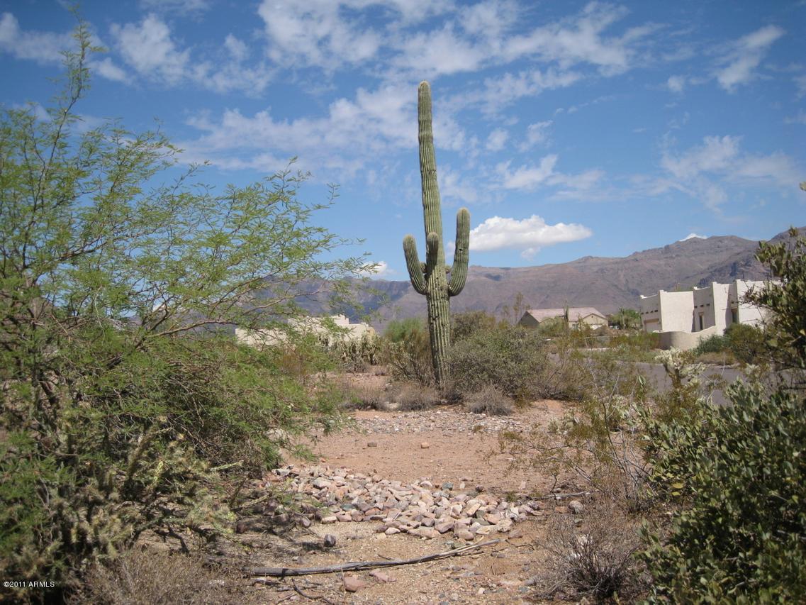 6190 S Sage Way #176, Gold Canyon, AZ 85118