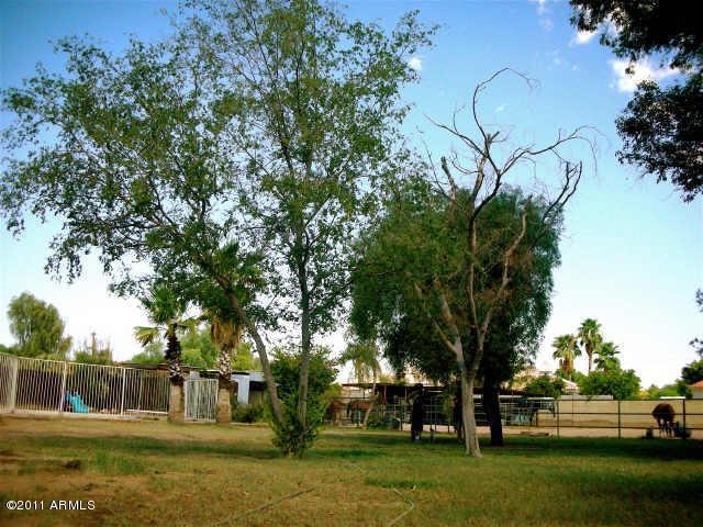 6232 E Mescal St., Scottsdale, AZ 85254