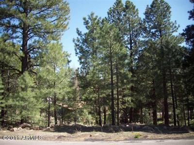 558 E Comanche St., Flagstaff, AZ 86001