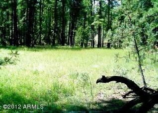 00 N Colcord Rd. #1, Christopher Creek, AZ 85541