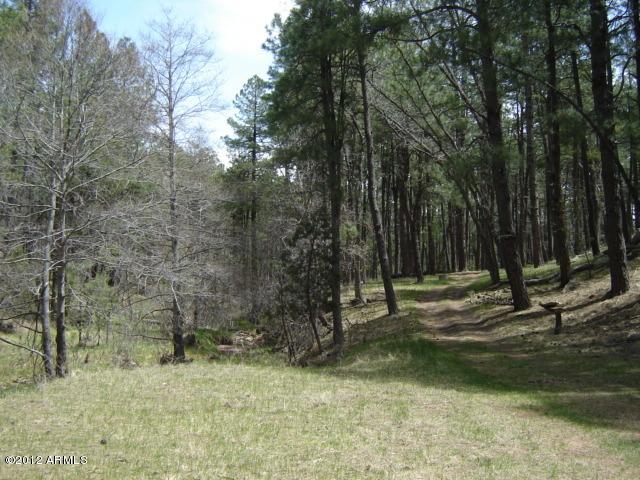 Lot 13 Gordon Canyon Creek Estates #13, Christopher Creek, AZ 85541