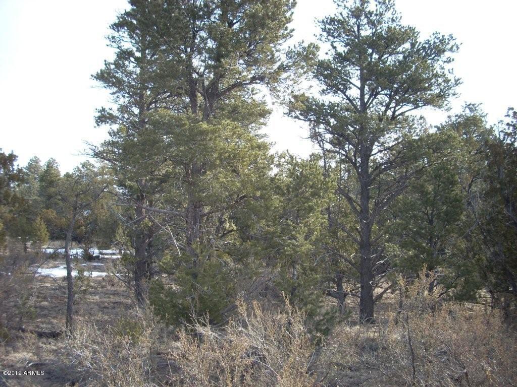 3329 Sawmill Ridge Loop #102, Heber, AZ 85928