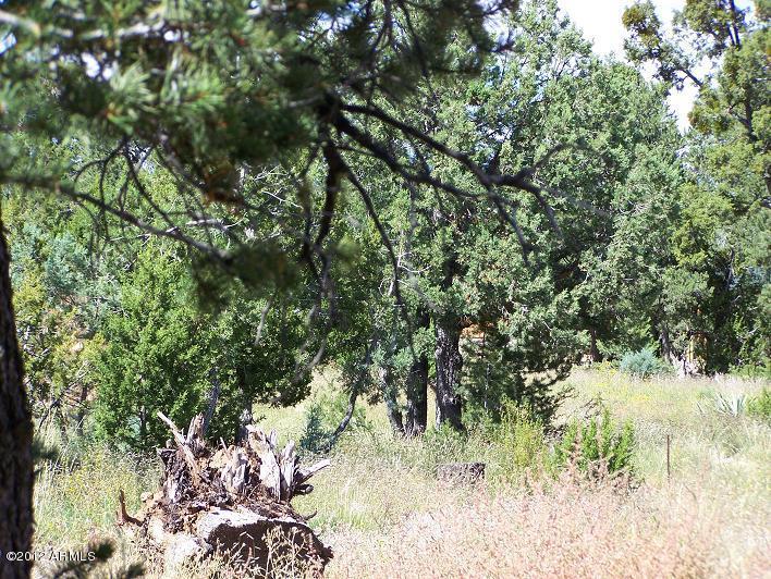 3450 Highland Dr. #80, Heber, AZ 85928