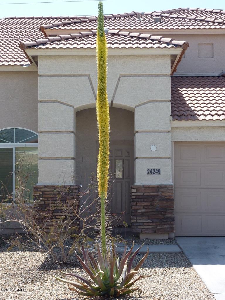 24249 W Desert Bloom St., Buckeye, AZ 85326