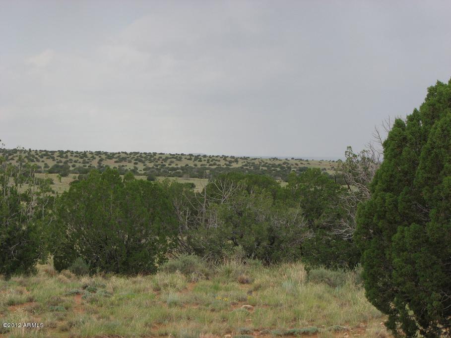 Sec. 9 Antelope Valley #16, Heber, AZ 85928