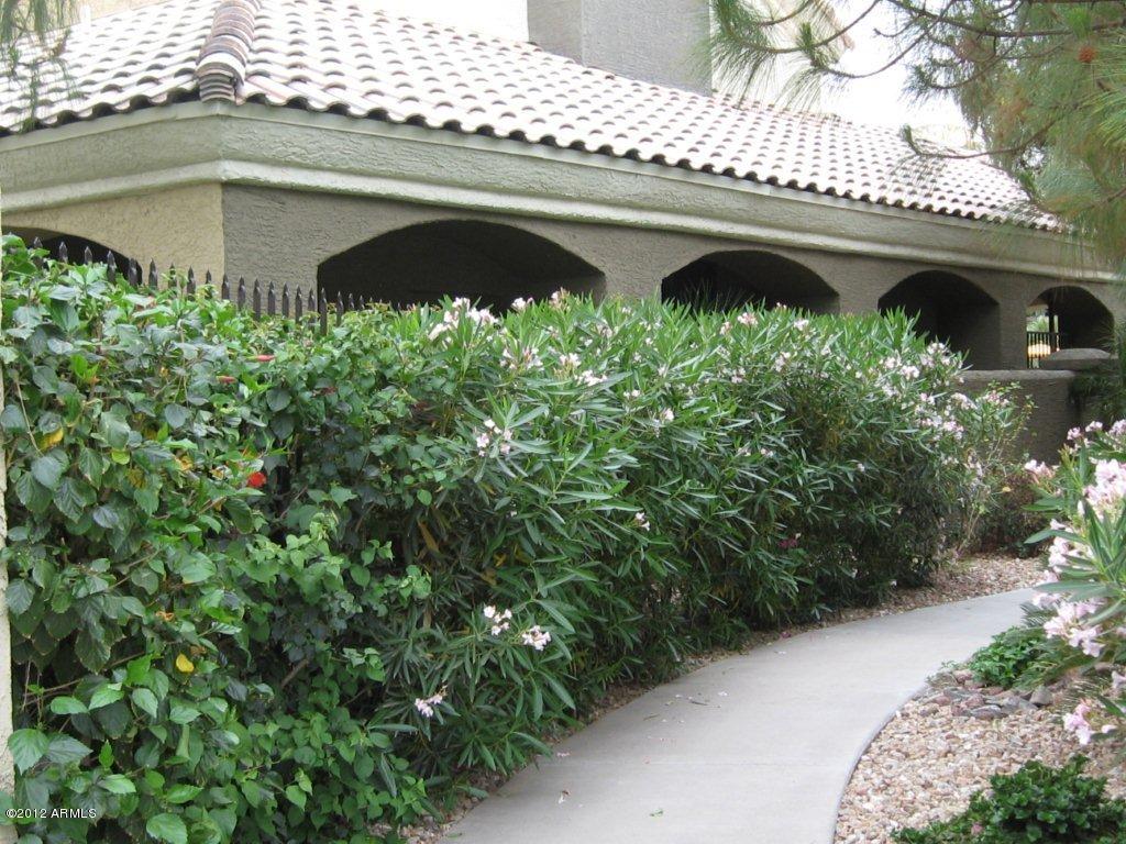 1100 N Priest Dr. #2144, Chandler, AZ 85226