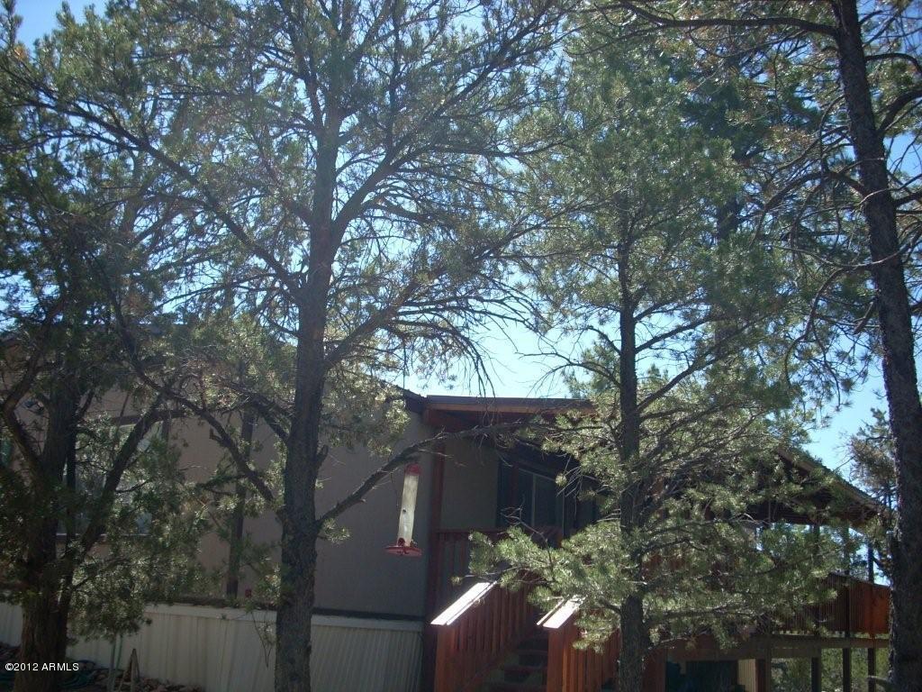 1669 Hidden Lane, Heber, AZ 85928