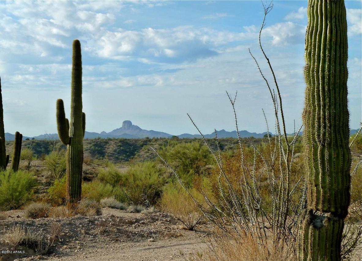 Encelia Ct., Wickenburg, AZ 85358