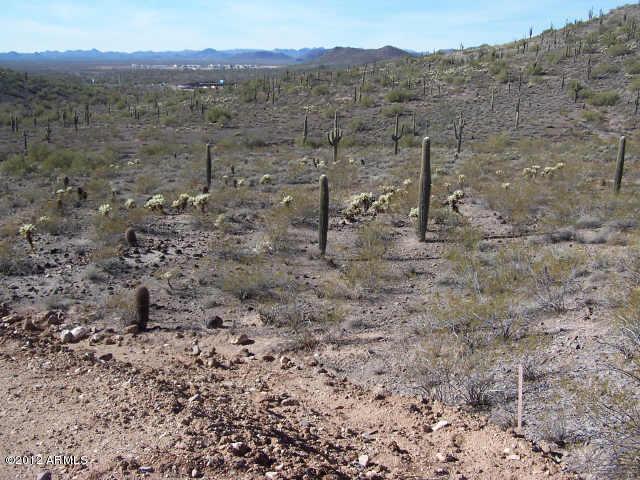 37612 N 34th Ave. #x, Phoenix, AZ 85086