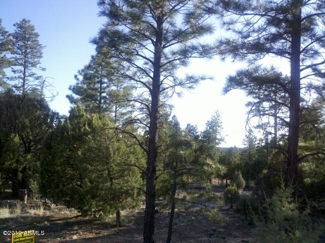 3425 Ponderosa Loop #127, Heber, AZ 85928