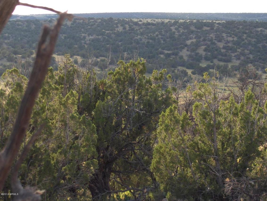 Sec.17 Chevelon Retreat #1, Heber, AZ 85928