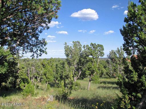 3469 Highland Rd. #132, Heber, AZ 85928