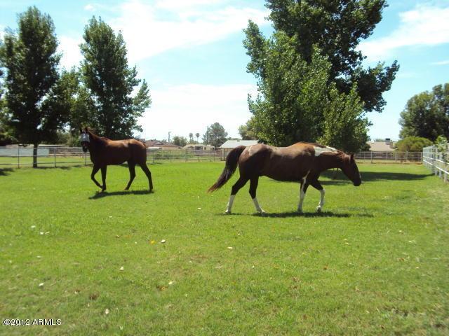 4721 W Tierra Buena Ln., Glendale, AZ 85306