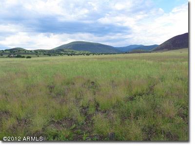 42016 Alpine Ranches #016J, Flagstaff, AZ 86004