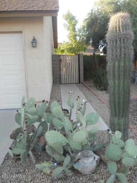 8329 W Pershing Ave., Peoria, AZ 85381