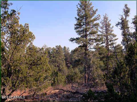 1948 Green Valley Rd. #29, Heber, AZ 85928