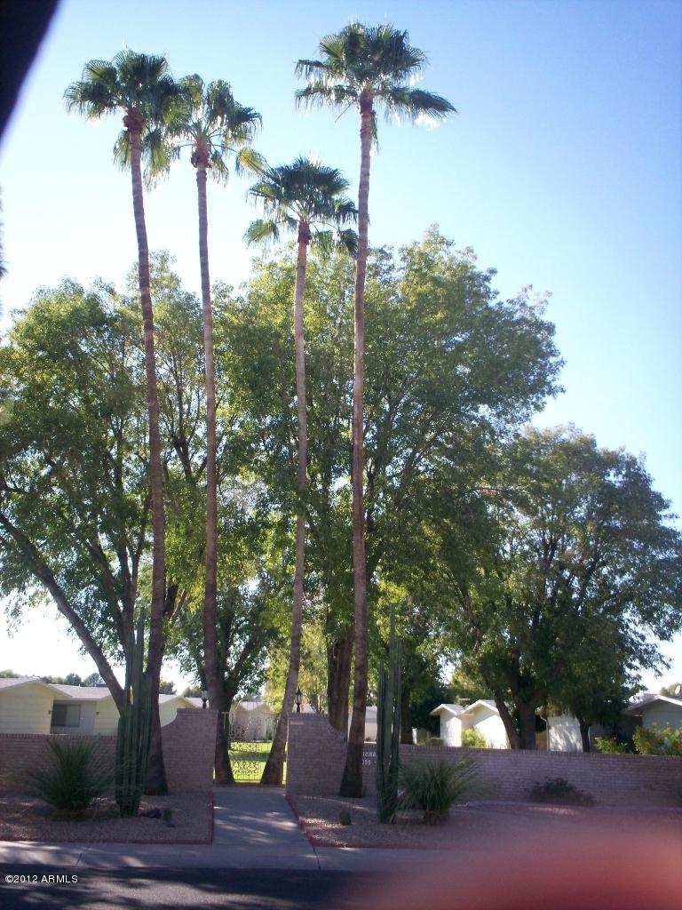 17034 N 105th Ave., Sun City, AZ 85373