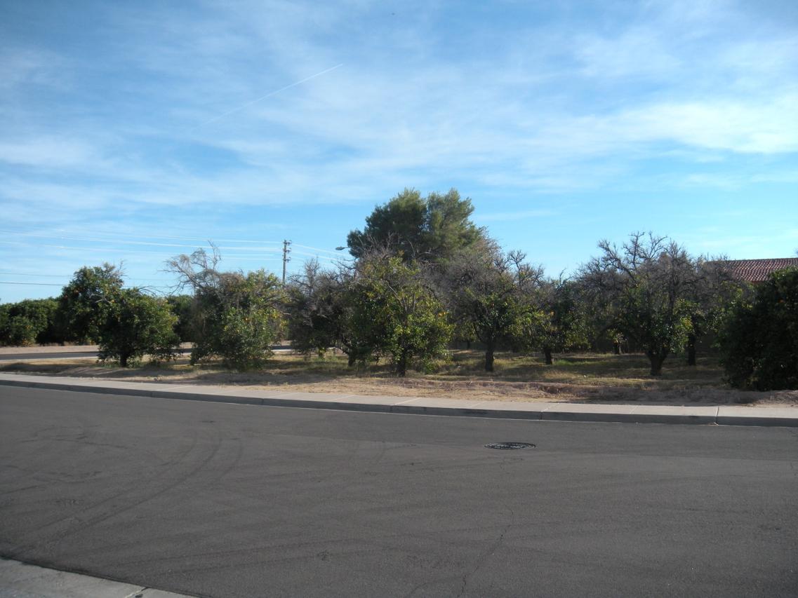 1102 N Val Vista Dr. #37, Mesa, AZ 85213