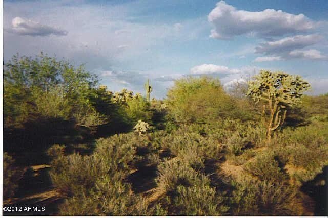 000 E Saddlehorn Tr. #107, Florence, AZ 85132