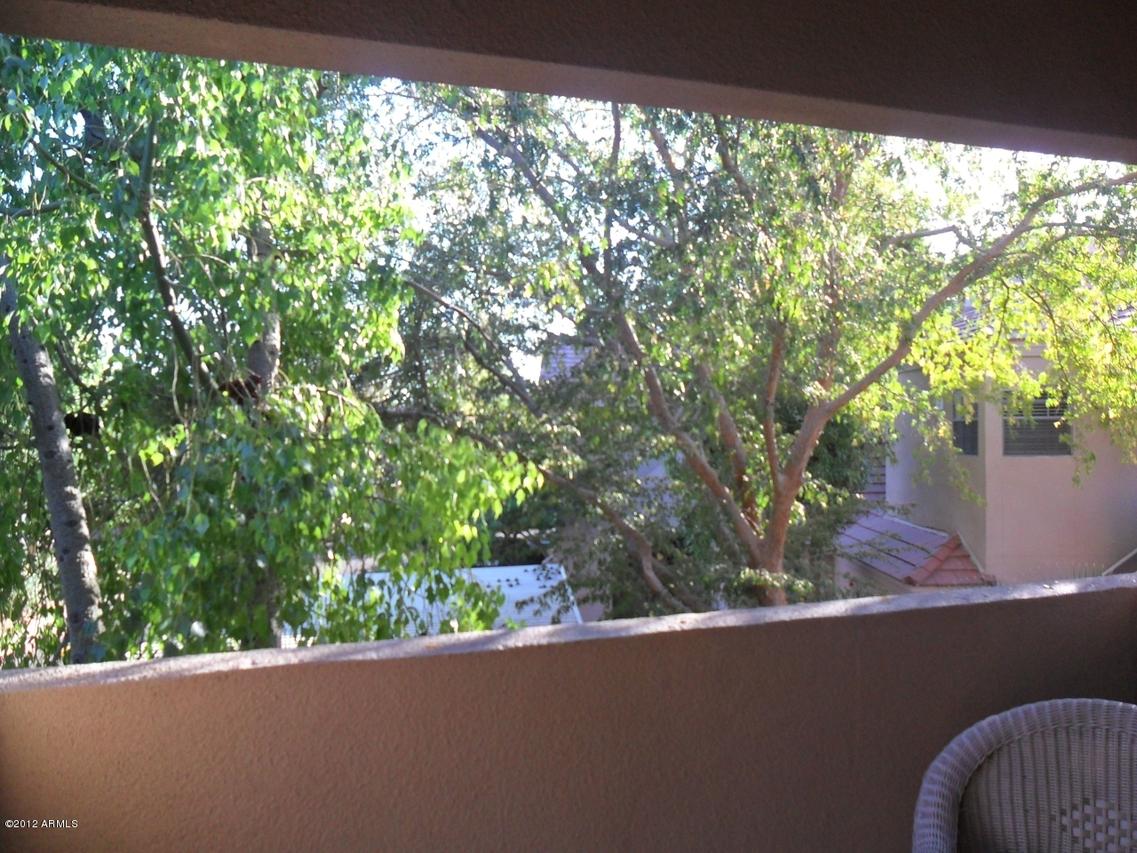 5950 N 78th St. #228, Scottsdale, AZ 85250