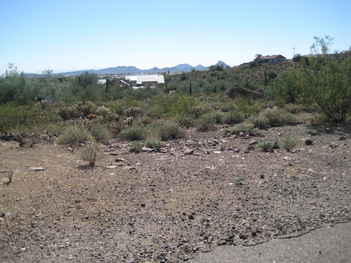 3125 W Dolores Rd. #5, Phoenix, AZ 85086