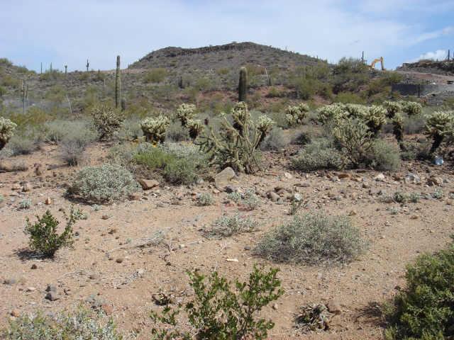 2510 W Rapolo Rd. #9, Phoenix, AZ 85086